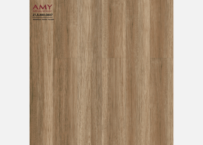 Lorem ipsum dolor sit amet, consectetur adipiscing elit